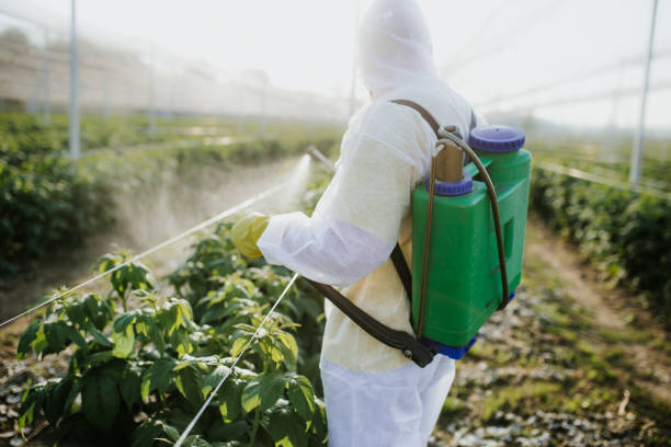 Indoor Pest Control in Newman, CA